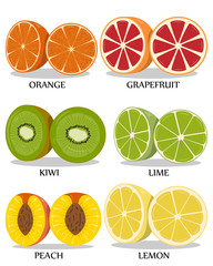 Set isolated on white background tropical fruit. Vector illustration