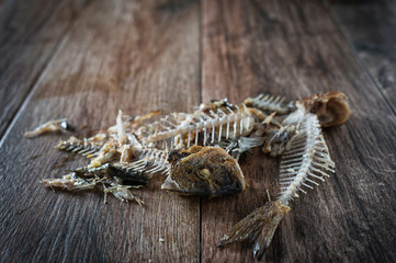 Fish bone on rustic wooden background. 