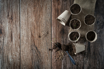 Growing potted plants from seeds in biodegradable peat pots and potting soil on rustic wooden background. Homegrown food, vegetable. Spring is here concept. Negative space around.
