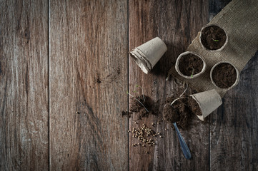 Growing potted plants from seeds in biodegradable peat pots and potting soil on rustic wooden...
