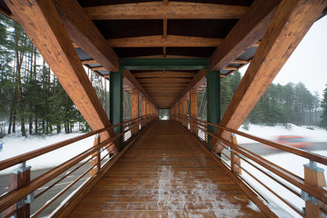 Wooden bridge in the forest park.