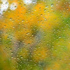 Rain water drops on car windshield