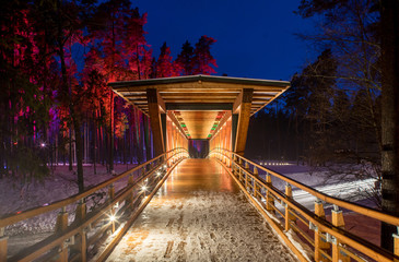Wooden bridge in the forest park. Night multicolored lights.