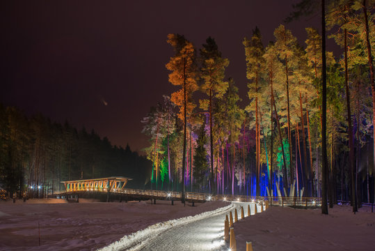 Wooden bridge in the forest park. Night multicolored lights.