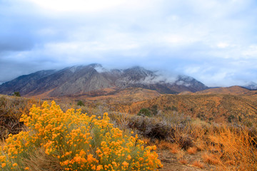  Sierra Nevada mountains on a stormy day