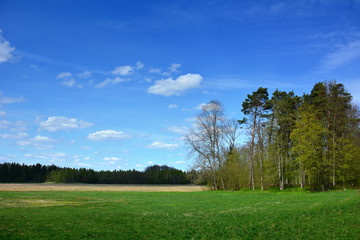 Green spring landscape with trees and meadows