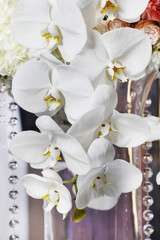 Floral arrangement with white orchids