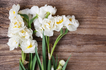 White narcissus flowers on wooden background