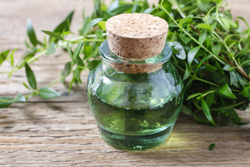 Myrtus (myrtle) essential oil