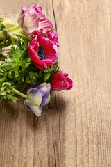 Pink anemone flower on wooden background