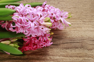 Hyacinth flowers on wooden background