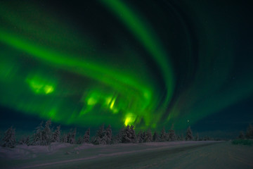 Winter night landscape with forest, road and northern light over the scene 