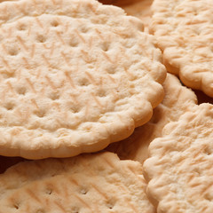 delicious fresh cookies as background