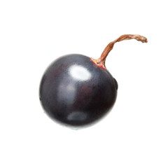 blackcurrant close-up isolated on white background