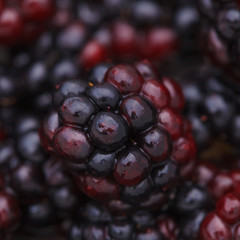 a Fresh juicy ripe dewberry close-up