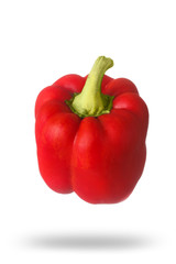 Red ripe juicy sweet Bulgarian pepper with shadow isolated on wh