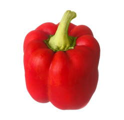 Red ripe juicy sweet Bulgarian pepper isolated on white backgrou