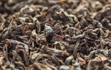 Dry Black Tea leaves close-up