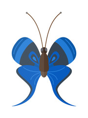 Colored cartoon butterfly vector isolated on white background. 