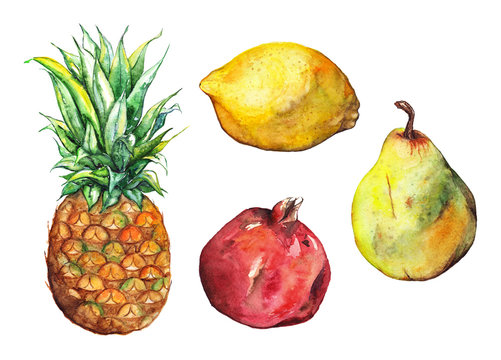 Watercolor pineapple pomegranate lemon pear fruit set isolated