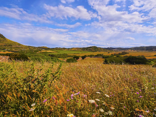 Landscape of Minorca