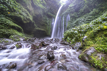 Fototapeta premium Tiu Kelep waterfall near Rinjani, Senaru, Lombok, Indonesia, Southeast Asia.