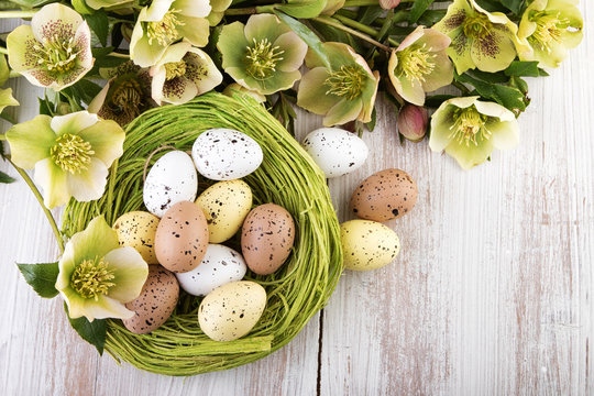 Easter nest easter eggs over wooden background