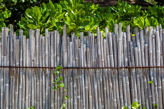 Bamboo fence on tropical beach
