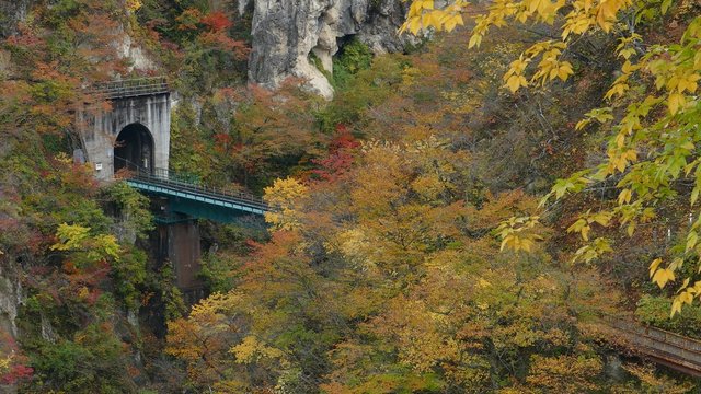 Osaki, Japan - 28 Oct, 2014 :  Bridge with leaves turning color in autumn in Naruko Gorge - Osaki, Miyagi, Japan