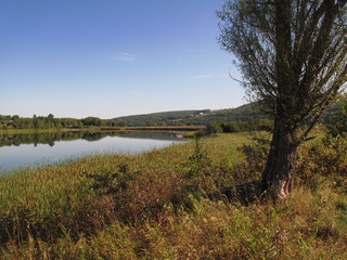 Beautiful scenery of trees and a calm lake   with reflections