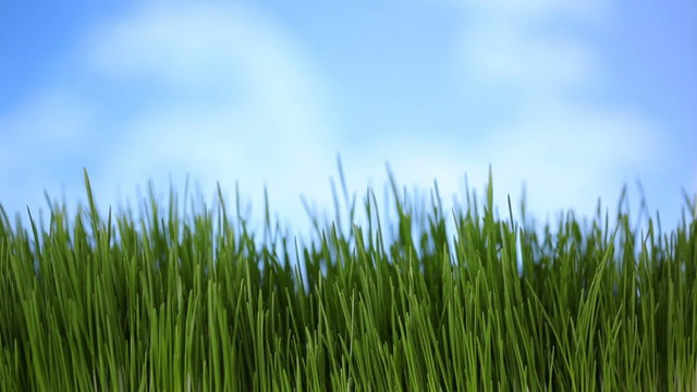 Grass and sky, time lapse