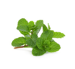 Peppermint or mint isolated on white background