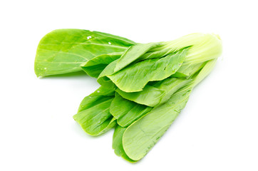 Bok choy isolated on a white background