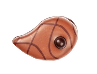 Chocolate candie from collection top view. Beautifully issued isolated on white background