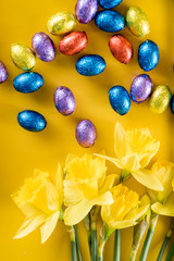 yellow narcissus and chocolate eggs