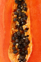 Ripe papaya isolated on white