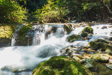 A river headwaters flows over rocks in  forest tropical of the t