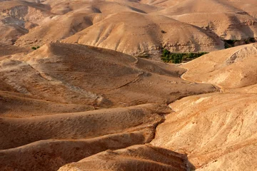  Mountainous Judean desert landscape near Jericho, Israel. © EcoView