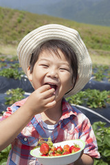 いちご狩りを楽しむ子供