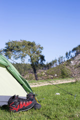 Camping in the middle of the woods, shot from inside the tent.