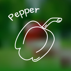 Thin line red pepper icon