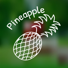 Thin line pineapple icon