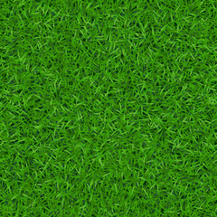 Green grass seamless pattern. Background lawn nature. Abstract field texture. Symbol of summer, plant, eco and natural, growth. Meadow design for card, wallpaper, wrapping, textile Vector Illustration - 105156665