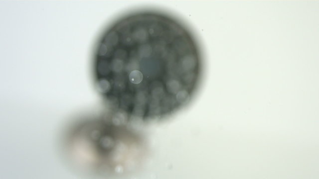 Water sprays out of shower head