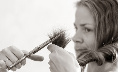 Obraz premium tips of the hair are cut by women's issues