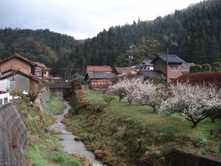 田舎の風景　石見銀山周辺　大森地区　小川
