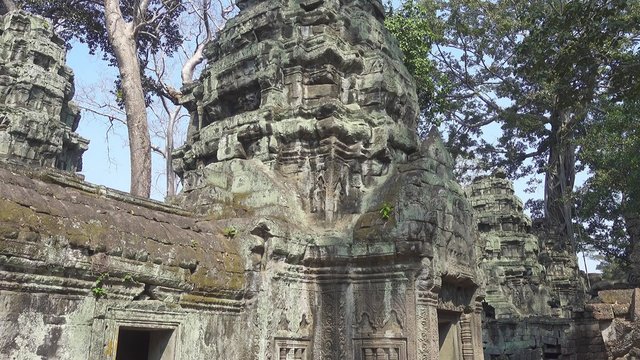 Ta Prohm temple in Angkor Wat, Siem Reap, Cambodia, tilt view, 4k
