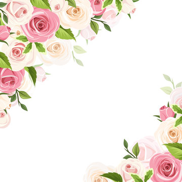 Vector white background with pink and white roses and green leaves. 