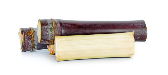 Sugar cane isolated on the white background
