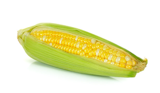Raw corn isolated on the white background